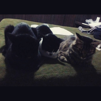 vivih_sgh - 9w8tcPyL27-iOlhIKFN.jpg